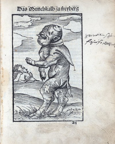 क्रैनाच, लुकास, द एल्डर (1472-1553) द्वारा फ्रीबर्ग का भिक्षु बछड़ा (दास मोएनकाल्ब ज़ू फ्रीबर्ग)। वुडकट द्वारा लुकास द एल्डर क्रैनाच