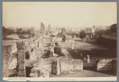रोम में पैलेटाइन पहाड़ी पर शाही महलों के खंडहर एडीस पब्लिका, पलाज़ो देई सेसरी (वस्तु पर शीर्षक) द्वारा लुडोविको तुमिनेलो