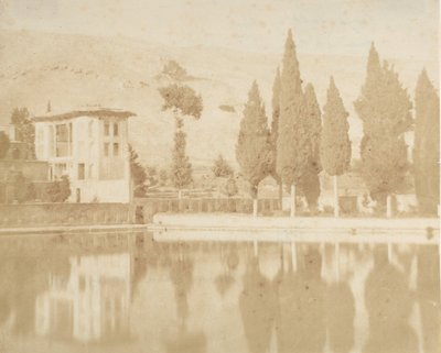 बाग-तख्त ए चिराज, 1858। द्वारा लुइगी पेस