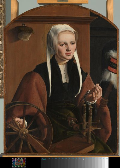  द्वारा Maarten van Heemskerck