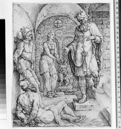 बंदियों की रिहाई द्वारा Maarten van Heemskerck