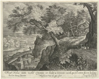  द्वारा Roelant Savery