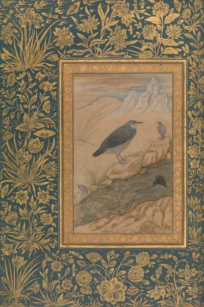 डाइविंग डिपर एंड अदर बर्ड्स, शाहजहाँ एल्बम से फोलियो, रेक्टो: सीए। 1610-15. द्वारा मंसूर