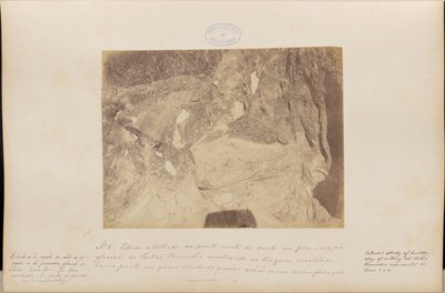  द्वारा मार्क फेररेज़