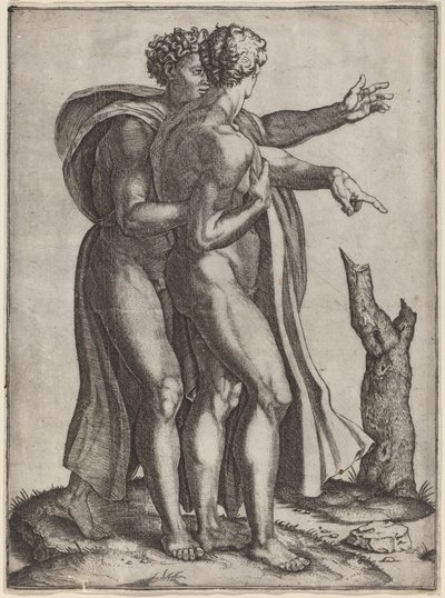 दो नग्न पुरुष द्वारा Marcantonio Raimondi after Michelangelo