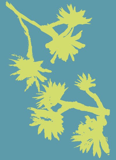  द्वारा मार्को कैम्पेडेली