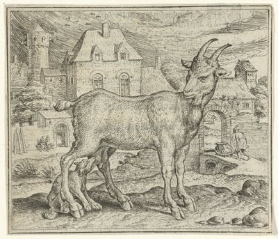  द्वारा मार्कस घिरर्ट्स (आई)
