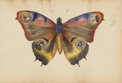 मैडम बी एल्बम, 1870 के दशक। द्वारा मेरी ब्लैंच हेनेले फोरनेयर