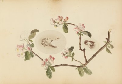 मैडम बी एल्बम, 1870 के दशक। द्वारा मेरी ब्लैंच हेनेले फोरनेयर