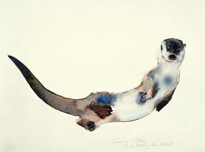क्यूरियस ओटर, 2003 द्वारा Mark Adlington