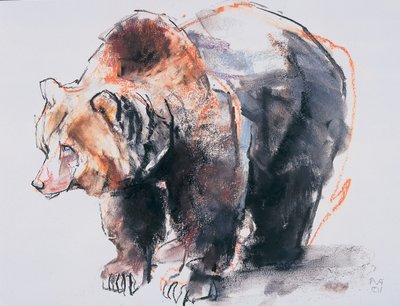 यूरोपीय ब्राउन बियर, 2001 (कागज पर चारकोल पूर्ववत) द्वारा मार्क एडलिंगटन