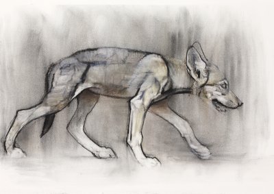 लीन पुप (अरेबियन वुल्फ), 2009 (कागज पर und charcoal) द्वारा मार्क एडलिंगटन
