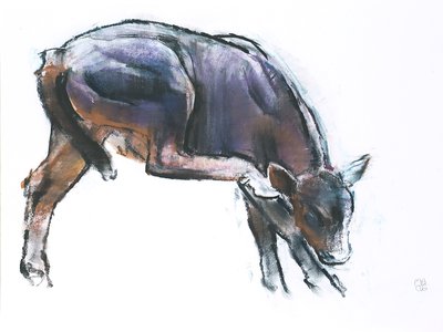स्क्रैचिंग बछड़ा, 2006 (कागज पर लकड़ी का कोयला unde) द्वारा मार्क एडलिंगटन