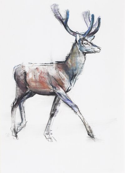 वेल्वेट, 2006 (कागज पर चारकोल पूर्ववत द्वारा मार्क एडलिंगटन