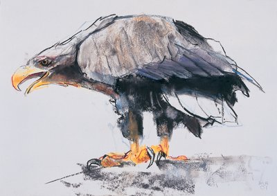 व्हाइट टेल्ड सी ईगल, 2001 (कागज पर कोयला का कोयला द्वारा मार्क एडलिंगटन