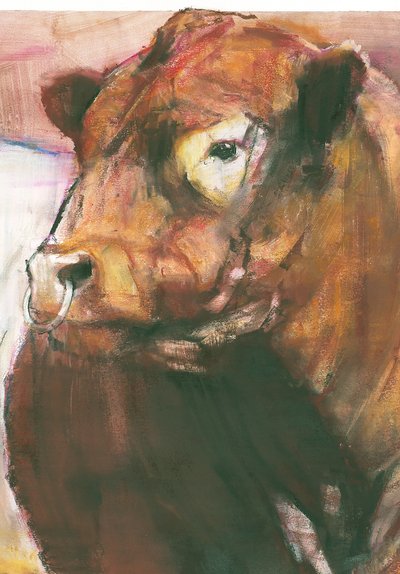 ज़ीउस, रेड बेलीड गैलोवे बुल, 2006 मिश्रित मीडिया पर 275255 के पेपर विवरण द्वारा मार्क एडलिंगटन