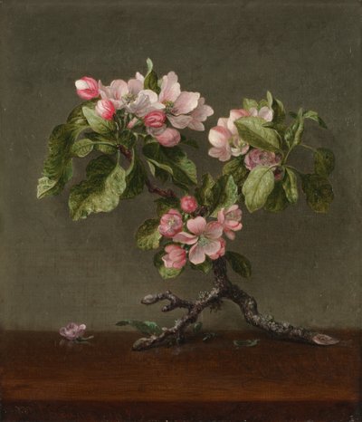 ऐप्पल ब्लॉसम, 1873। द्वारा Martin Johnson Heade