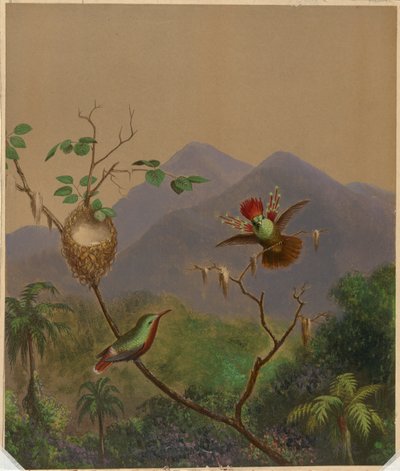  द्वारा मार्टिन जॉनसन हेडे