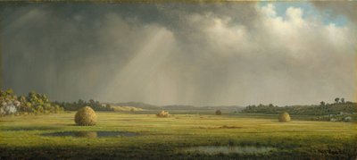 न्यूबरीपोर्ट मीडोज, c.1876–81 (कैनवास पर तेल) द्वारा Martin Johnson Heade