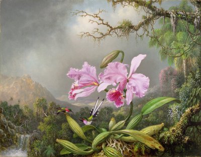 एक आर्किड का अध्ययन, 1872 द्वारा Martin Johnson Heade
