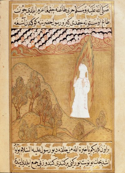  द्वारा मार्टिनो बस्सी