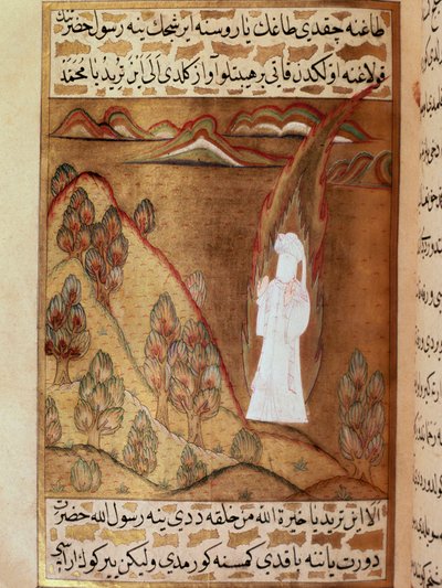  द्वारा Martino Bassi