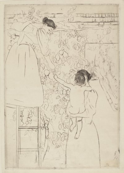 फल इकट्ठा करना, सी। 1893. द्वारा मैरी कसाट