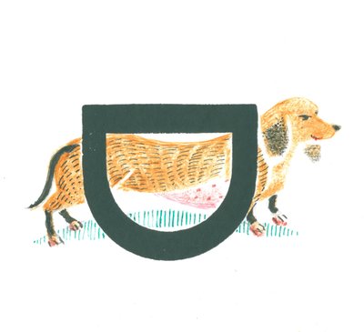 D, Dachshund के लिए है द्वारा मैरी कुपेरे