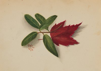 शीर्षकहीन, 1873। द्वारा मैरी वॉक्स वालकॉट