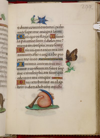  द्वारा डेविड दृश्यों के मास्टर