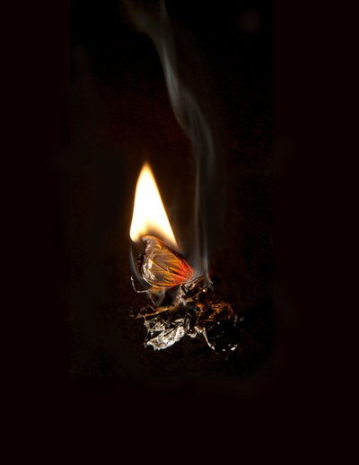  द्वारा मैट कोलिशॉ