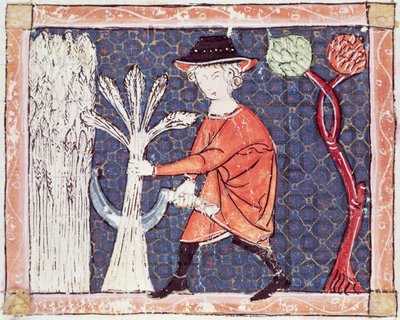 Fol.58v जुलाई: हार्वेस्ट द्वारा मैटफ़्रे एर्मेंगौट