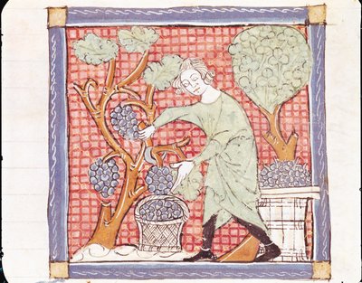 Fol.59r सितंबर: द हार्वेस्ट द्वारा मैटफ़्रे एर्मेंगौट