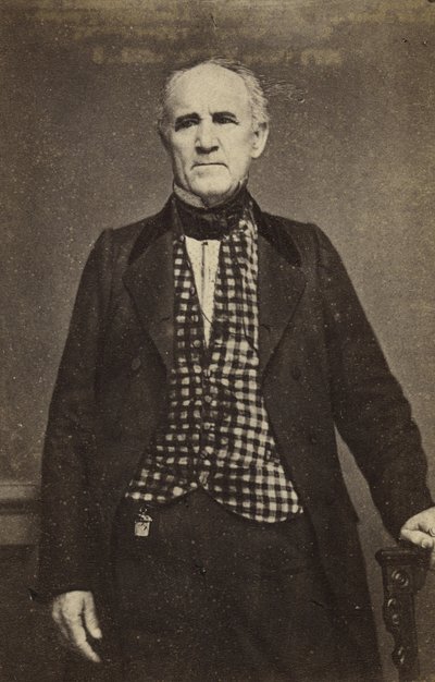 सैम ह्यूस्टन, c.1860-65 (एल्ब्यूमेन सिल्वर प्रिंट) द्वारा मैथ्यू बी ब्रैडी