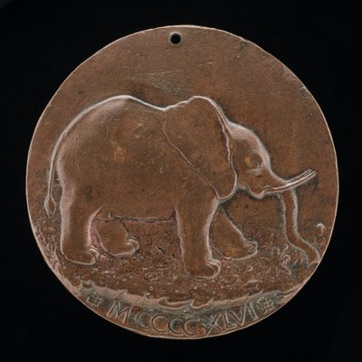 एक घास के मैदान में मालटेस्टा हाथी [रिवर्स], 1446। द्वारा मत्तेओ दी एंड्रिया डे पास्टी