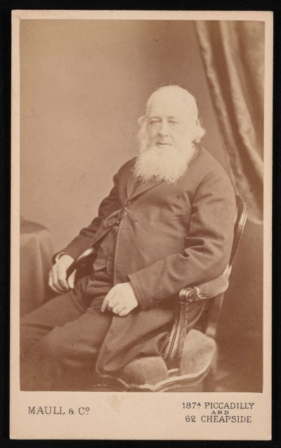 1875 से पहले जॉन गोल्ड 1804-1881 का पोर्ट्रेट। द्वारा मल्ल और सह