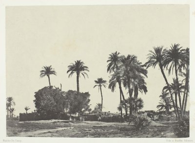हमामेह का गांव, ऊपरी मिस्र, 184951, 1852 छपा। द्वारा मैक्सिम डू कैंप