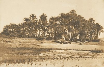 1849-50 में असवान के सामने एलिफेंटाइन द्वीप का दृश्य। द्वारा मैक्सिम डू कैंप