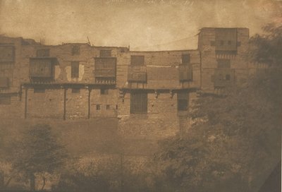 काहिरा में जार्डिन डू क्वार्टियर फ्रैंक से लिया गया दृश्य, दिसंबर 1849-जनवरी 1850। द्वारा मैक्सिम डू कैंप