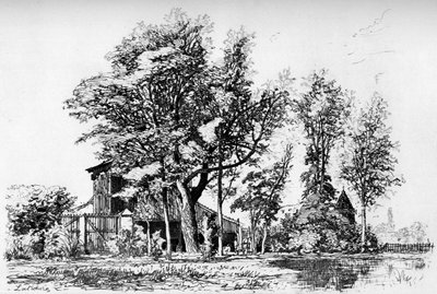 द अकेसियस, c1850-1895 1924 द्वारा मैक्सिम लल्लन