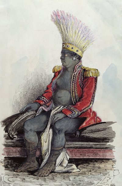 Nuka-Hiva के द्वीप पर राजा टेम्पो ने एक फ्रांसीसी कर्नल की वर्दी पहनी, c.1841-48 (कागज पर कलम, स्याही और wc) द्वारा मैक्सिमिलिन रेडिगेट