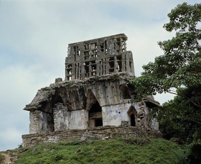 क्रॉस लीफ का मंदिर द्वारा माया मय