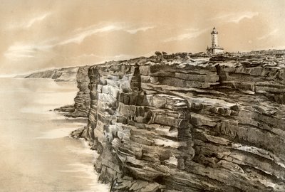 साउथ हेड, पोर्ट जैक्सन, 1879 द्वारा McFarlane और Erskine