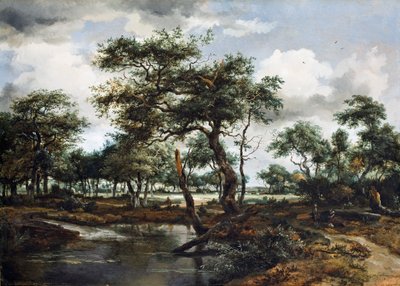 जंगल में एक तालाब, 1668 (ओक पैनल पर तेल) द्वारा Meindert Hobbema