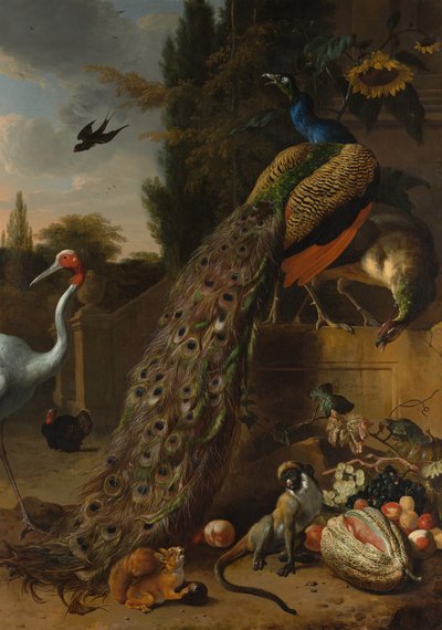 मोर, 1683. द्वारा मेल्चिओर डी'होंडेकोटर