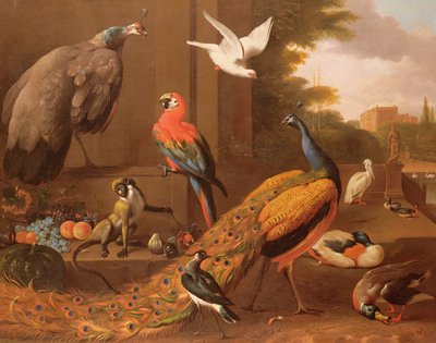 एक परिदृश्य में पक्षी द्वारा Melchior de Hondecoeter