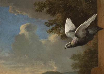 मेनगेरी से विस्तार, c.1680 (कैनवास पर तेल) द्वारा Melchior de Hondecoeter
