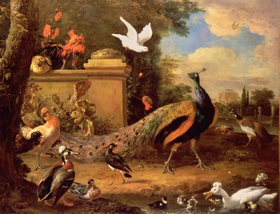 एक झील द्वारा मोर और अन्य पक्षी द्वारा Melchior de Hondecoeter