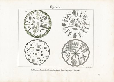  द्वारा मेनो हास