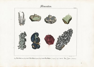  द्वारा मेनो हास